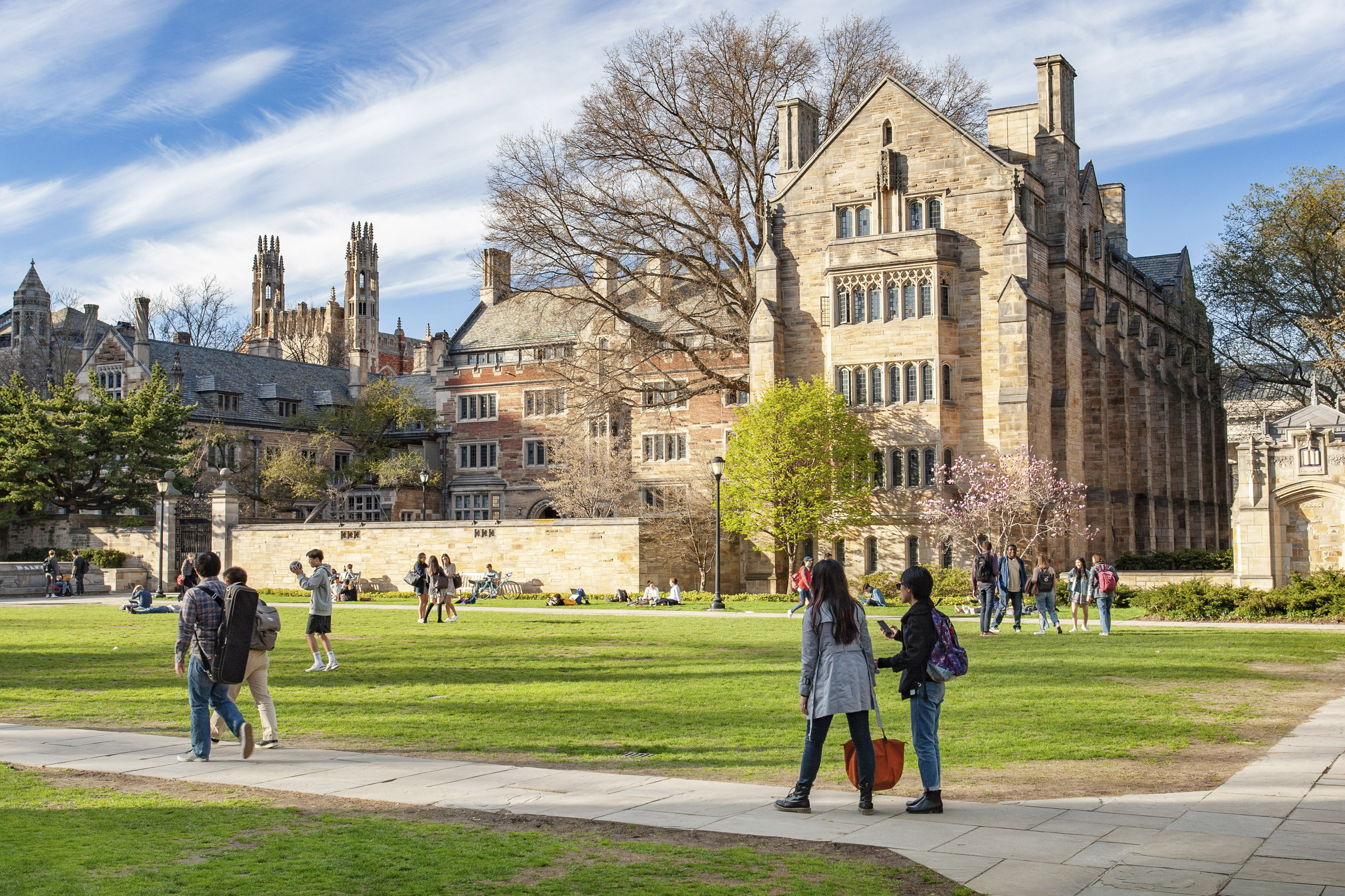 A sunny scene of of campus