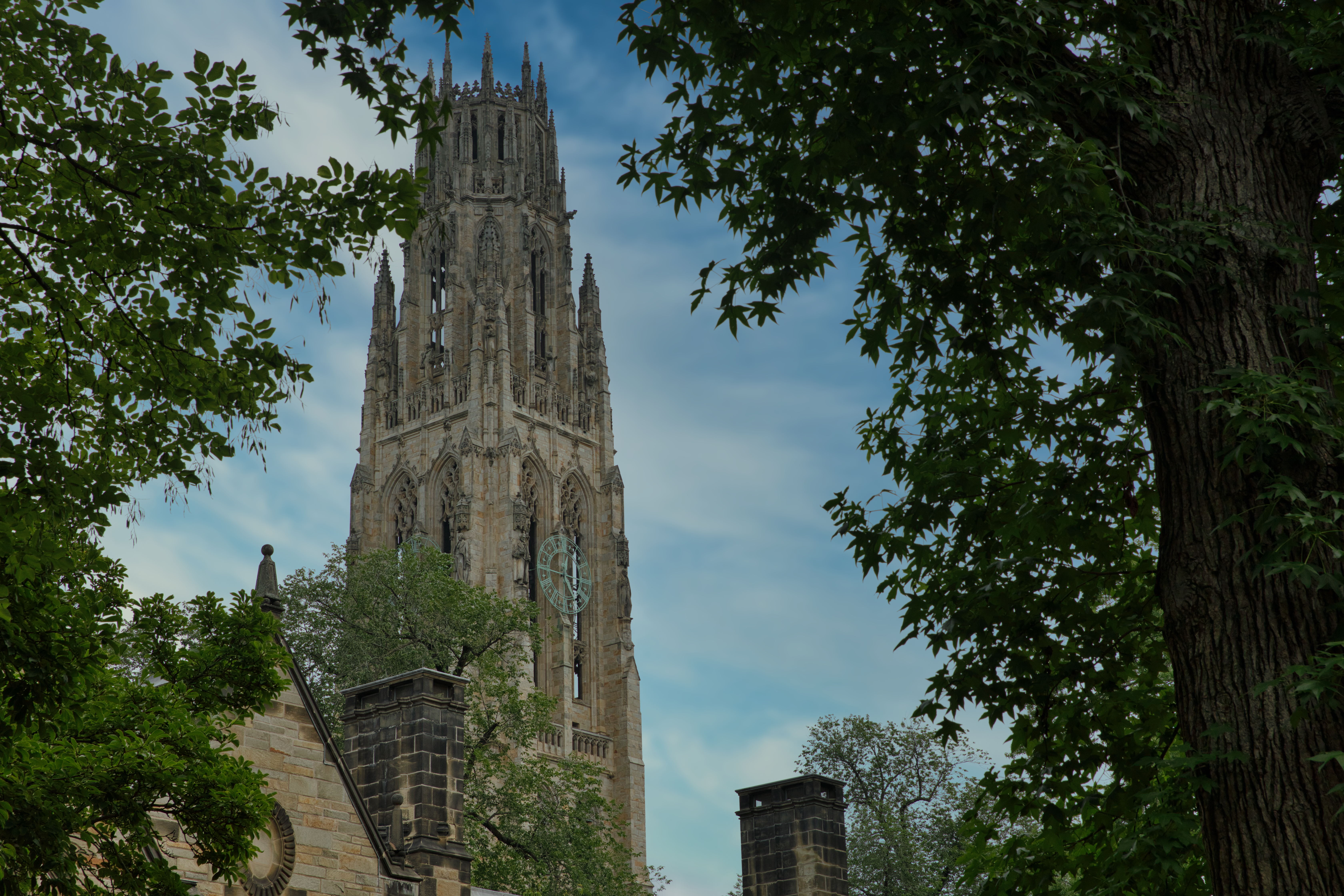 Harkness Tower through green leafy trees against a blue sky