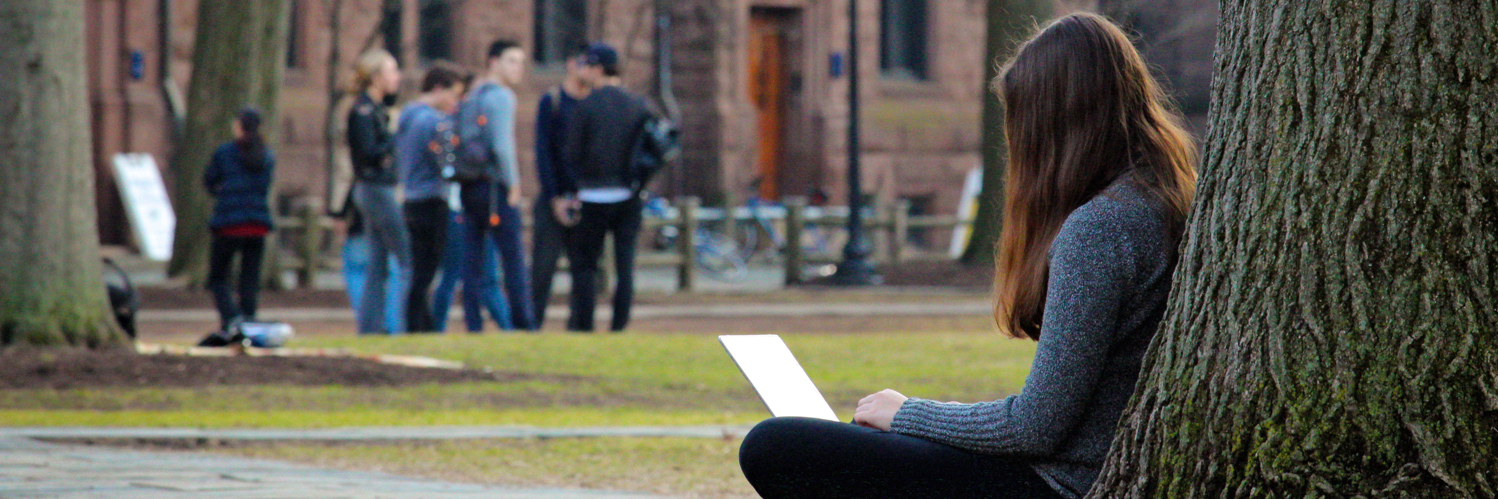 A student typing on a laptop while sitting against a tree on Old Campus.