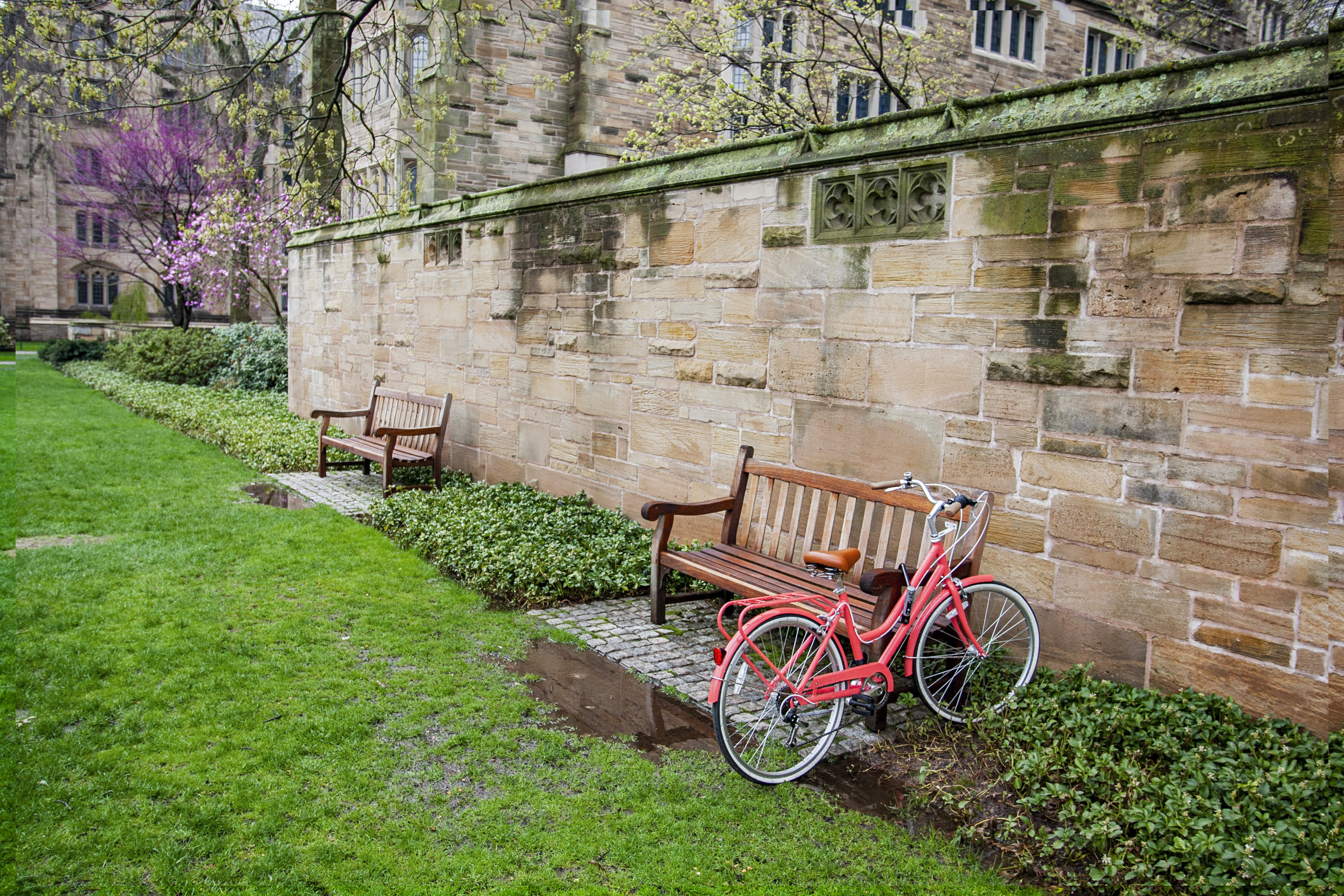 2019_04_26_13-54-46__DP_0633_Bike.jpg