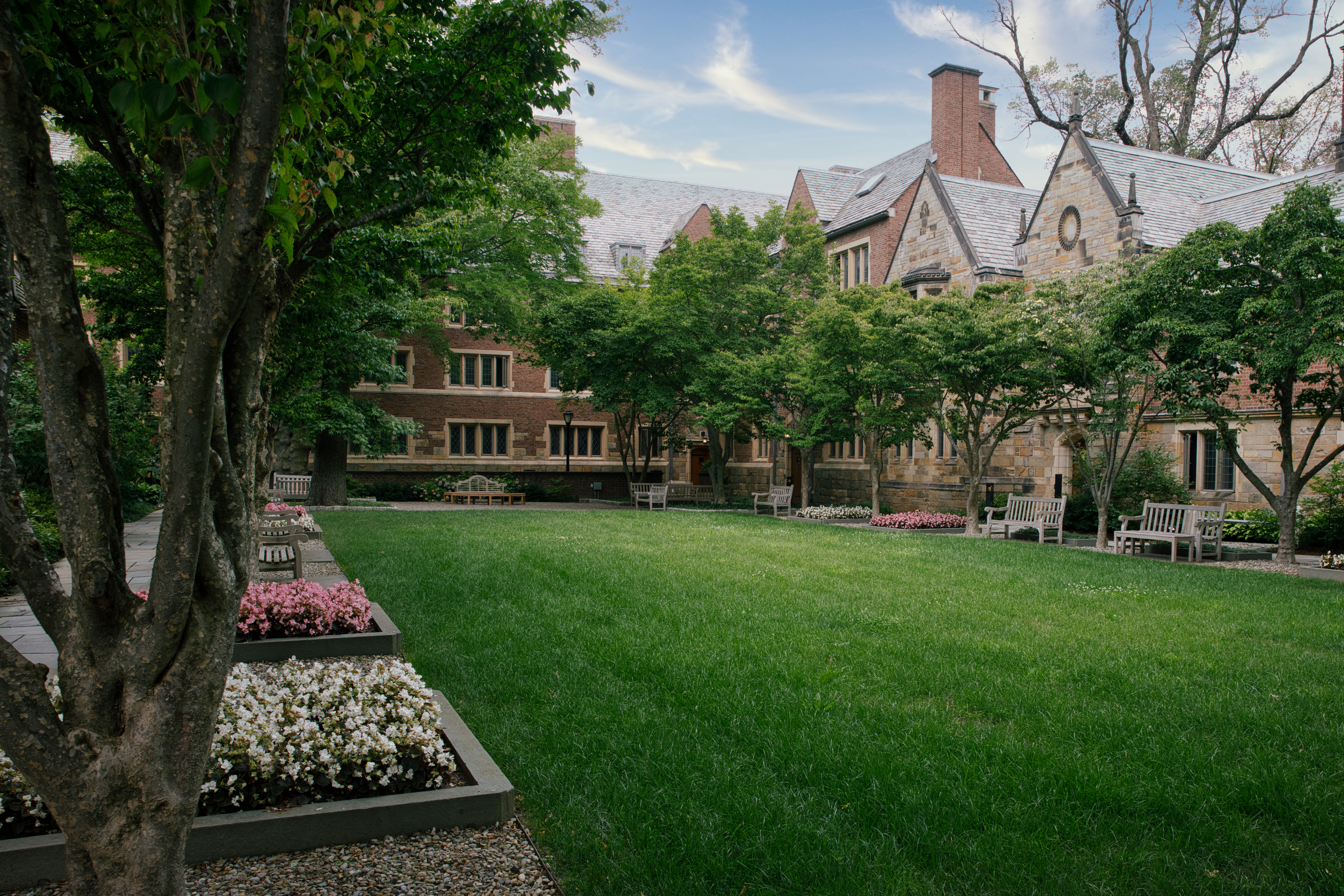 Courtyard lawn with trees growing along the parameter and beds of different color flowers.