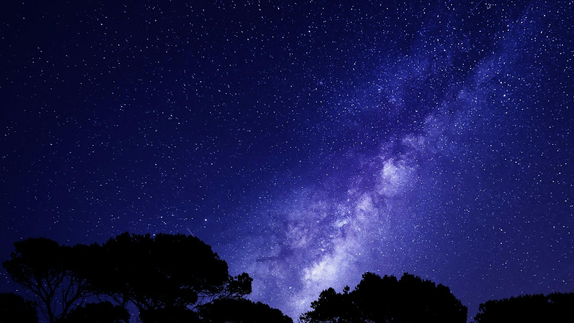 starry night sky with treeline