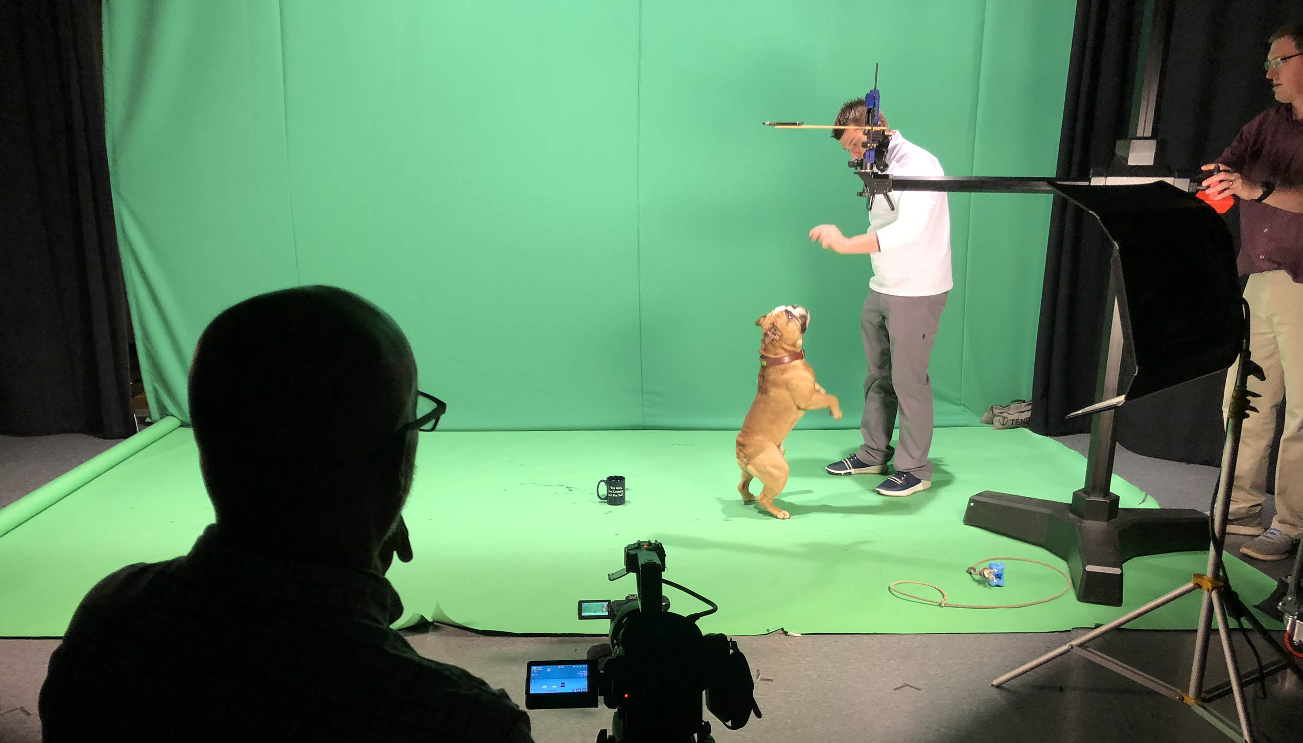 Green screen with a man holding his hand out as the Handsome Dan Yale bulldog stands on his back ends.