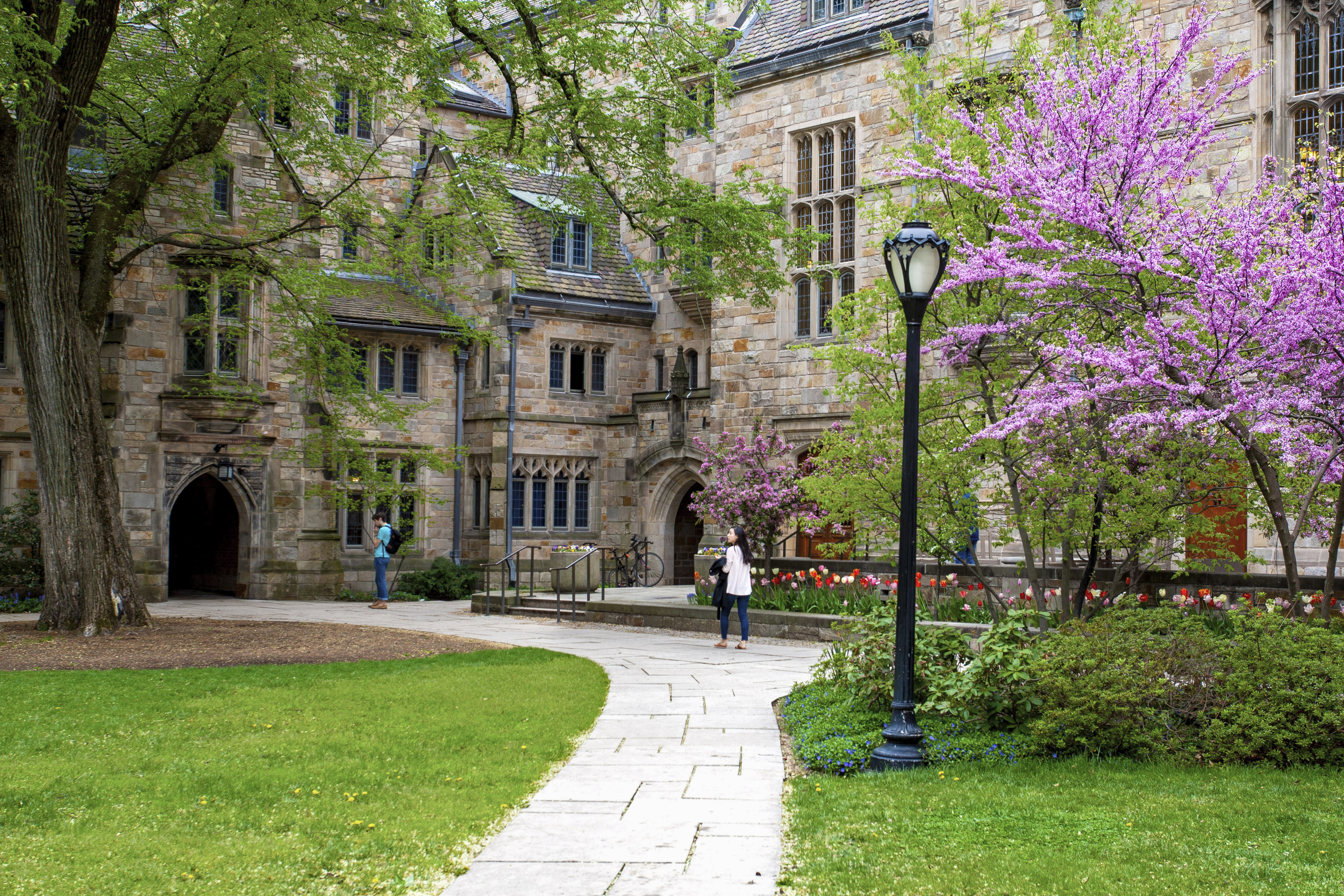 Students walking through Branford courtyard during spring.