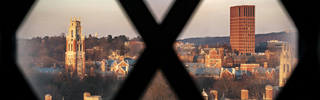 View from out of the Sterling Library Window