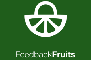 FeedbackFruits Logo
