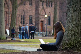 A student typing on a laptop while sitting against a tree on Old Campus.
