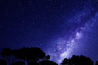 starry night sky with treeline
