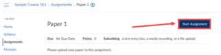 Canvas assignment called Paper 1 with the Start Assignment button highlighted with a red arrow pointing towards it.