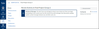Canvas group page with options for students to create announcements, upload files, and other resources.
