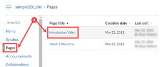 Canvas Page index with two different pages listed.