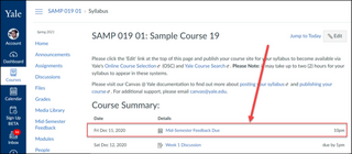 Mid-Semester Feedback tool displayed in the Course Summary list