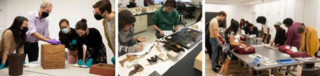 Three different pictures of a group of people looking at library and museum collections.
