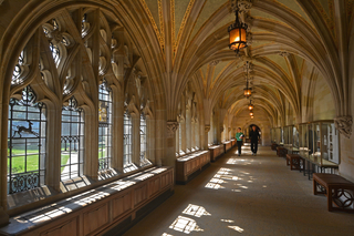 Exhibition hall at Sterling Memorial Library with arched ceilings and display cases.